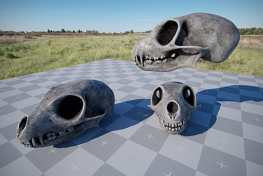 Adobe Photoshop 22.1 (Windows) (6947)